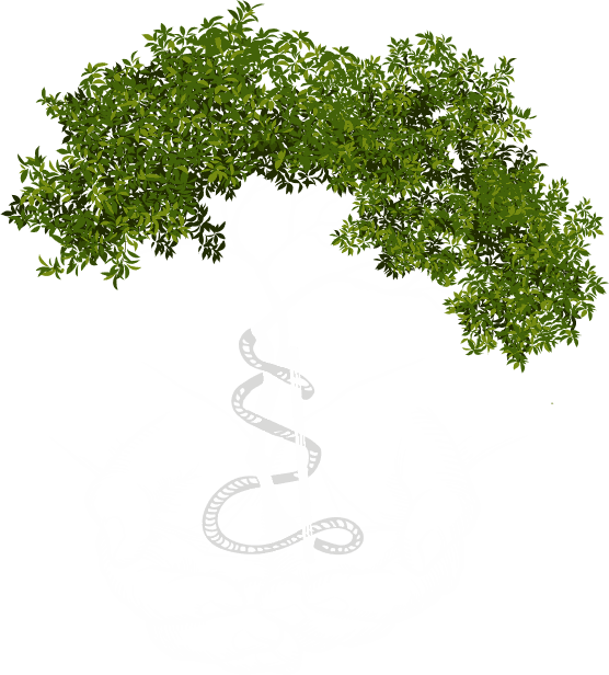 Logo Árbol Ortopedia