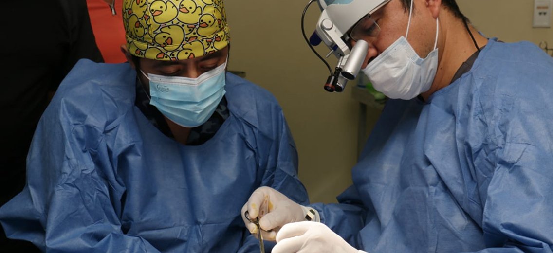 Atención a Urgencias