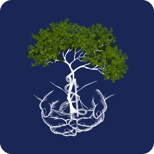 Logo Árbol Dr. Alan