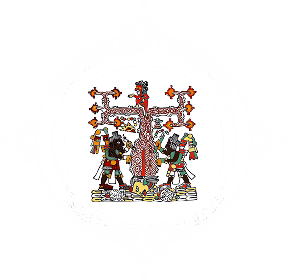 Traumatología